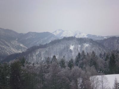 Kliknite za ogled večje slike