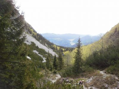 Kliknite za ogled večje slike