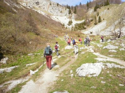 Kliknite za ogled večje slike