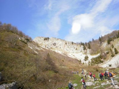 Kliknite za ogled večje slike