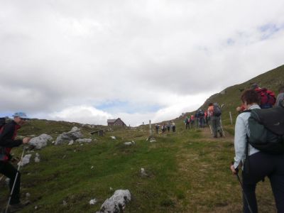 Kliknite za ogled večje slike