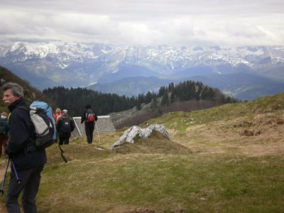 Kliknite za ogled večje slike