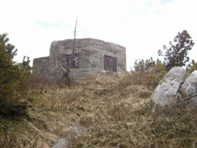Kliknite za ogled večje slike