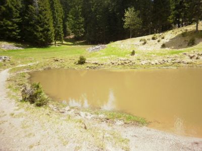 Kliknite za ogled večje slike