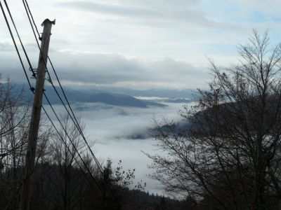 Kliknite za ogled večje slike