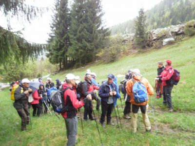 Kliknite za ogled večje slike