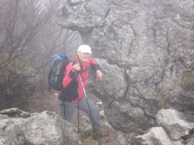 Kliknite za ogled večje slike