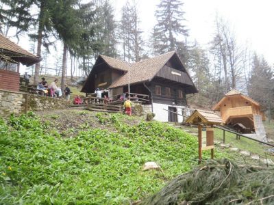 Kliknite za ogled večje slike