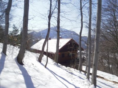 Kliknite za ogled večje slike