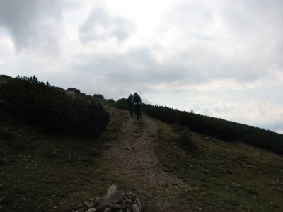 Kliknite za ogled večje slike