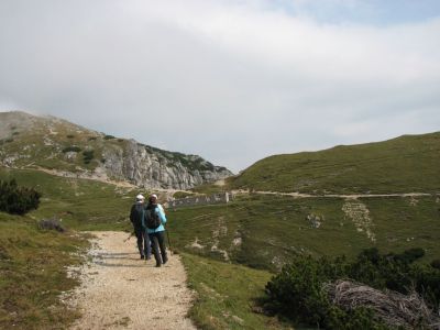 Kliknite za ogled večje slike