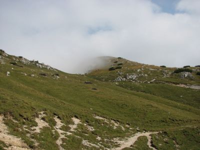 Kliknite za ogled večje slike