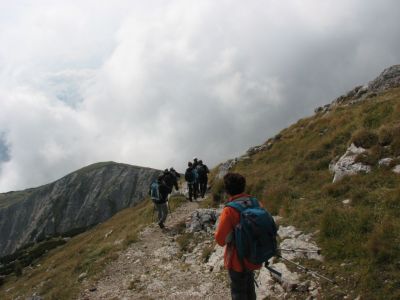Kliknite za ogled večje slike