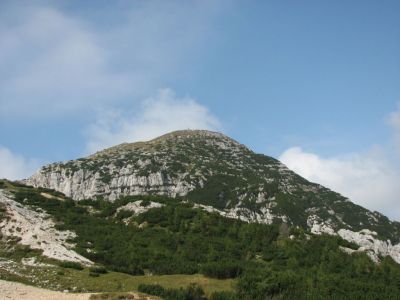 Kliknite za ogled večje slike