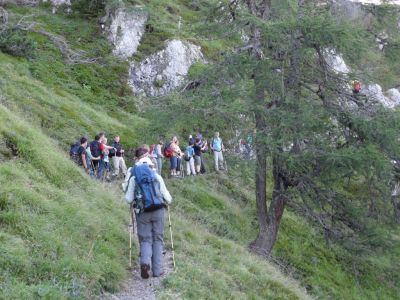 Kliknite za ogled večje slike