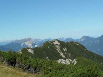 Kliknite za ogled večje slike