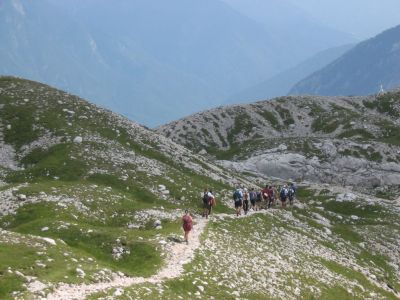 Kliknite za ogled večje slike