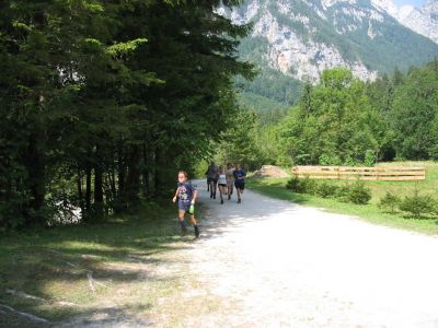 Kliknite za ogled večje slike