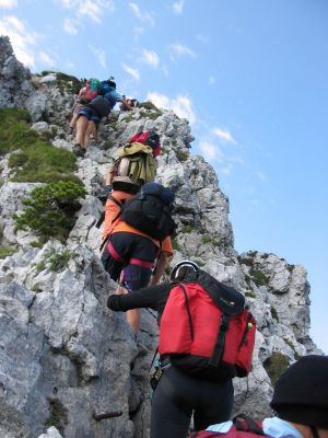 Kliknite za ogled večje slike
