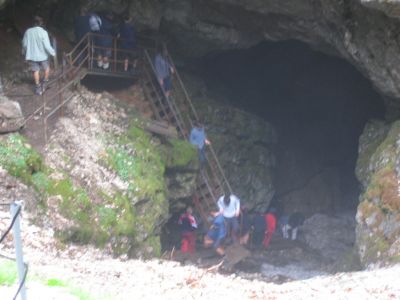 Kliknite za ogled večje slike