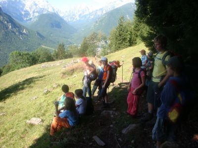 Kliknite za ogled večje slike