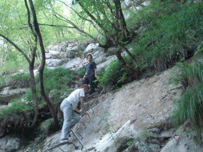 Kliknite za ogled večje slike