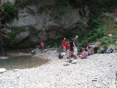 Kliknite za ogled večje slike
