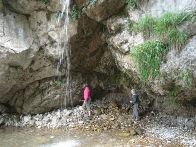 Kliknite za ogled večje slike