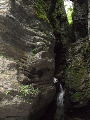 Kliknite za ogled večje slike