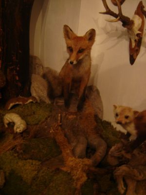 Kliknite za ogled večje slike