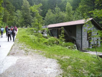 Kliknite za ogled večje slike