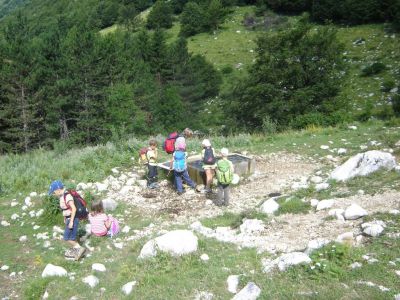 Kliknite za ogled večje slike