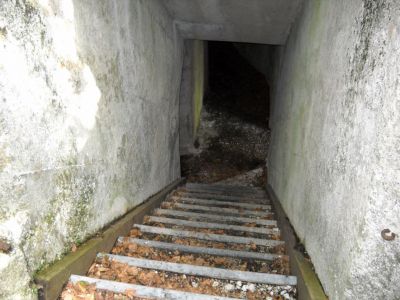Kliknite za ogled večje slike
