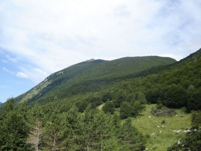 Kliknite za ogled večje slike