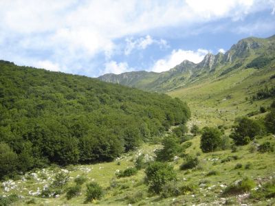 Kliknite za ogled večje slike