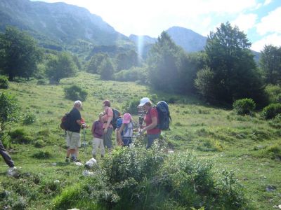 Kliknite za ogled večje slike