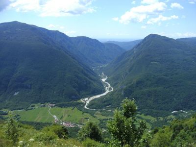 Kliknite za ogled večje slike