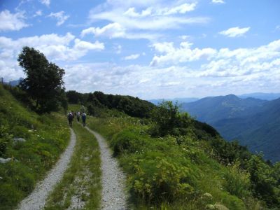 Kliknite za ogled večje slike