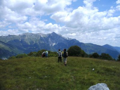 Kliknite za ogled večje slike