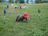 drezniske2010K__042.JPG