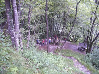 Kliknite za ogled večje slike