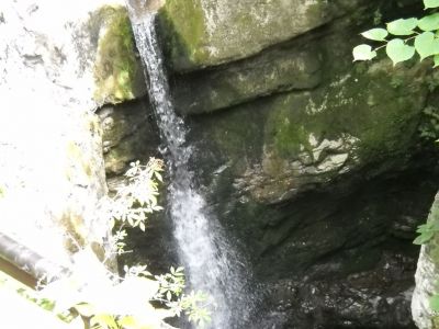 Kliknite za ogled večje slike