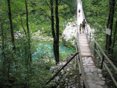 Kliknite za ogled večje slike