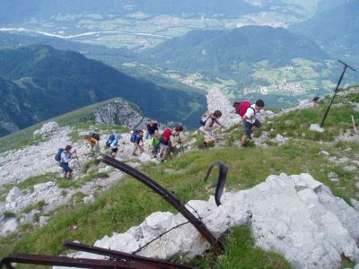 Kliknite za ogled večje slike
