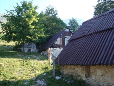 Kliknite za ogled večje slike