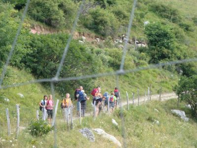Kliknite za ogled večje slike