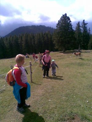 Kliknite za ogled večje slike