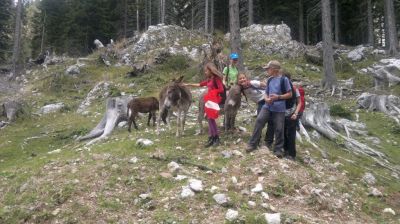 Kliknite za ogled večje slike