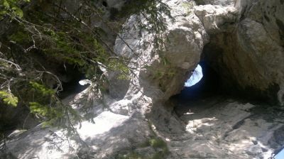 Kliknite za ogled večje slike