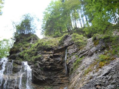Kliknite za ogled večje slike